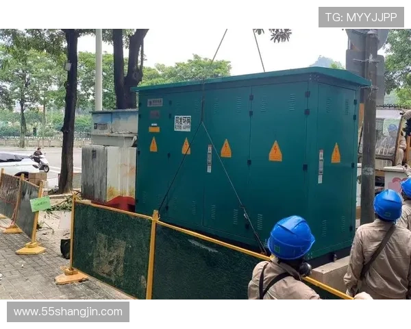 深入分析澳门菠菜担保网的安全性与可靠性 深入分析澳门菠菜担保网的安全性与可靠性